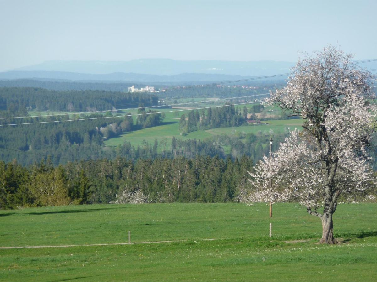 Hoehenpension Glashuette Bed&Breakfast Fruehstueckspension Hotel Garni Bonndorf im Schwarzwald Exteriér fotografie